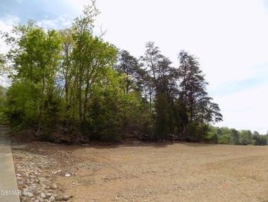 Experience Lakeside Luxury on Cherokee Lake. Discover your own - photo 10
