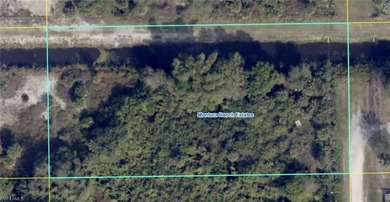(private lake, pond, creek) Lot For Sale in Clewiston Florida