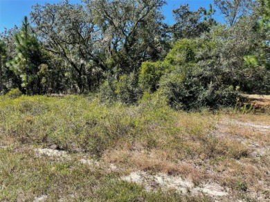 Bonable Lake Lot For Sale in Dunnellon Florida