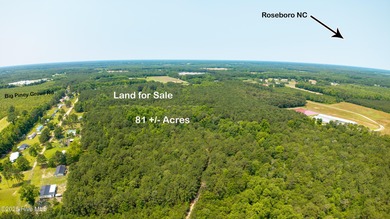 (private lake, pond, coastal) Acreage For Sale in Clinton North Carolina