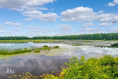 A rare opportunity to own your piece of West Twin Lake! Offering - photo 11