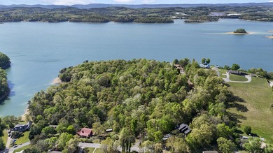 Rare opportunity to own over 11 acres of prime lakefront - photo 7