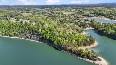 Rare opportunity to own over 11 acres of prime lakefront - photo 9