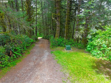 **Private Woodland Property with Two Homes & Income - photo 47