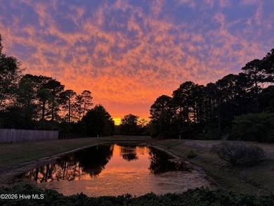 Nestled in the desirable Vineyard Green subdivision of Myrtle - photo 49