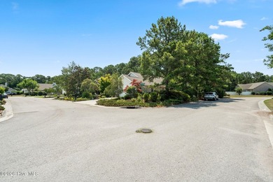 Nestled in the desirable Vineyard Green subdivision of Myrtle - photo 50