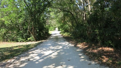 Withlacoochee River Lot For Sale in Dunnellon Florida