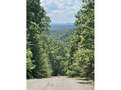 Peaceful Lot in Sandstone Point on Lake Cumberland - photo 2