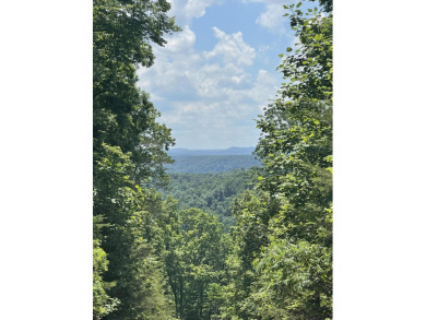 Peaceful Lot in Sandstone Point on Lake Cumberland - photo 3