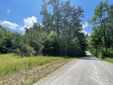Peaceful Lot in Sandstone Point on Lake Cumberland - photo 4