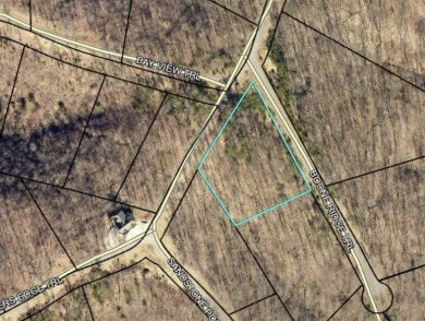 Peaceful Lot in Sandstone Point on Lake Cumberland - photo 5