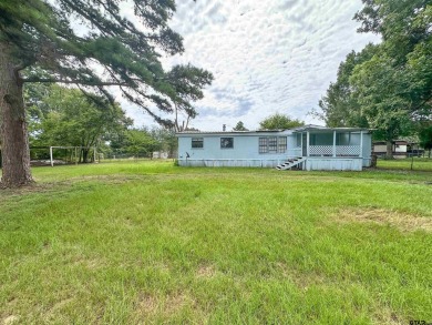 Lake Home For Sale in Chandler, Texas