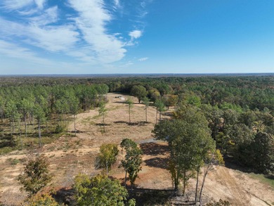 (private lake, pond, creek) Acreage For Sale in Bolivar Tennessee