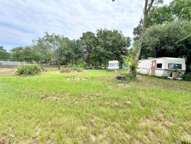 Lake Lot For Sale in Chandler, Texas