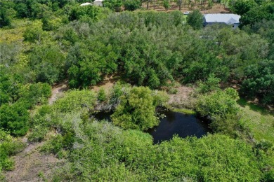 Build Your Dream Home on 5 Private Acres of residentially zoned - photo 14