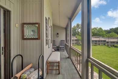 Fully furnished and beautifully renovated lakefront condo at - photo 27