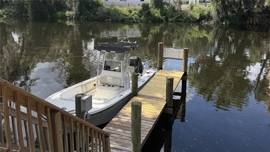 Welcome to your private Alafia River retreat offering - photo 2
