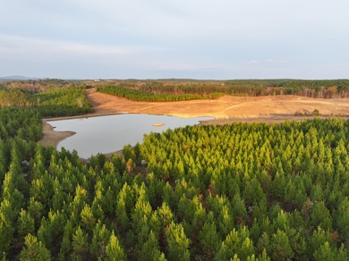 (private lake, pond, coastal) Acreage For Sale in Columbiana Alabama