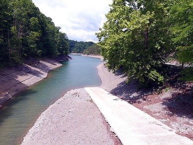 Turn Key Lake Cumberland Cottage on Large Lot w/ Storage - photo 7