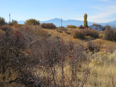 Oversized lot in Oregon Shores II-.33 of an acre-big enough for - photo 8