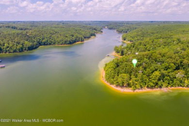 Smith Lake (Crooked Creek) Rare piece of SL waterfront. Over - Lake Acreage For Sale in Logan, Alabama