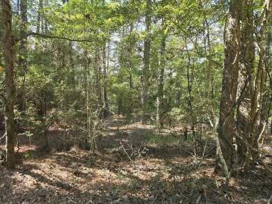 Lake Lot For Sale in Brookeland, Texas