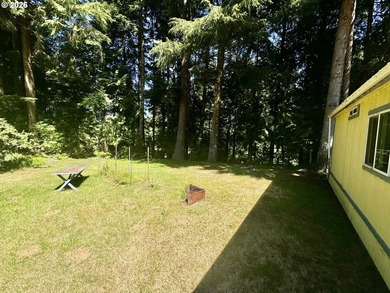Welcome home to this 3 bedroom, 2 bathroom double-wide - photo 22