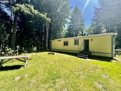Welcome home to this 3 bedroom, 2 bathroom double-wide - photo 24