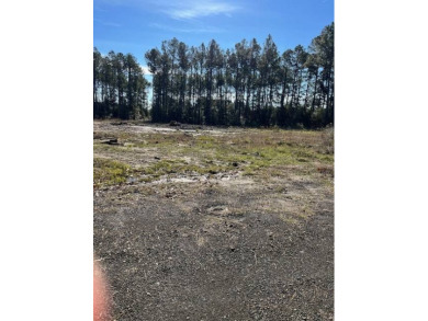 Lake Lot For Sale in Many, Louisiana