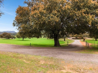 ABSOLUTELY GORGEOUS 76 ACRE RANCH OF PRISTINE USABLE LAND - photo 37