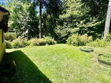 Welcome home to this 3 bedroom, 2 bathroom double-wide - photo 38
