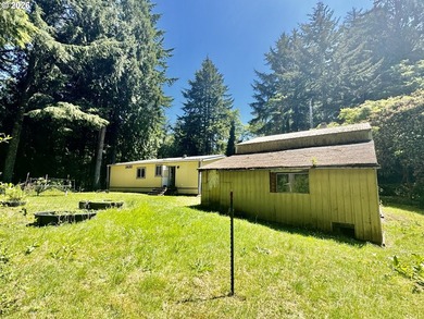 Welcome home to this 3 bedroom, 2 bathroom double-wide - photo 39