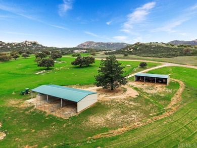 ABSOLUTELY GORGEOUS 76 ACRE RANCH OF PRISTINE USABLE LAND - photo 46