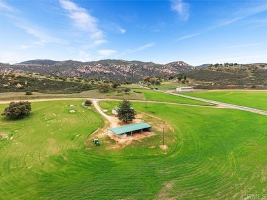 ABSOLUTELY GORGEOUS 76 ACRE RANCH OF PRISTINE USABLE LAND - photo 49