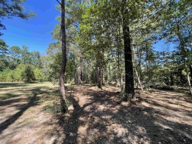 Lake Lot For Sale in Jasper, Texas