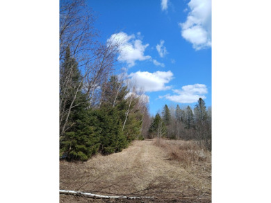 Byhre Lake Parcel - photo 2