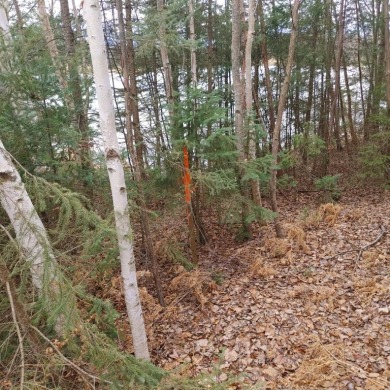 Byhre Lake Parcel - photo 6