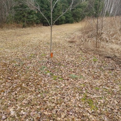 Byhre Lake Parcel - photo 8