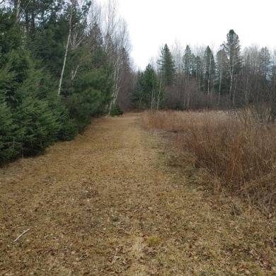 Byhre Lake Parcel - photo 9