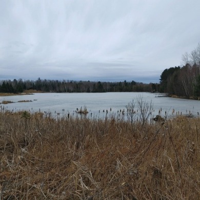 Byhre Lake Parcel - photo 10