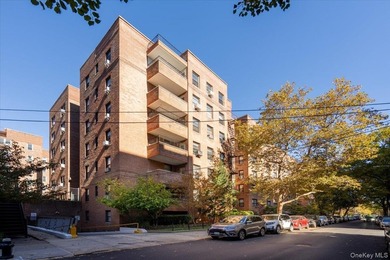 The Versailles a move-in ready 1 bedroom/1 bathroom Co-op in the - photo 20