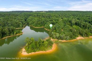 Dismal Creek-Approx 64 acres on Smith Lake. Over 8000 feet of - Lake Acreage For Sale in Arley, Alabama