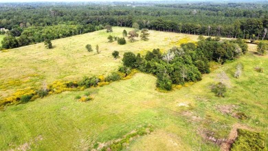  Acreage For Sale in Kirbyville Texas