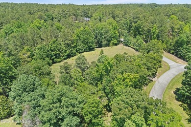 Welcome to 3287 Surrey Road, a one of a kind Southern estate - photo 50