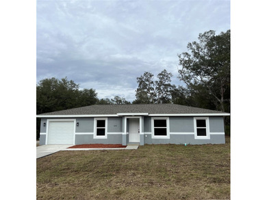 Bonable Lake Home Sale Pending in Dunnellon Florida