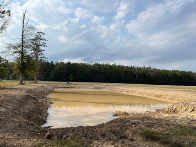 Lake Acreage For Sale in Walker, Louisiana