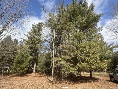 Pentwater Lake Lot For Sale in Pentwater Michigan