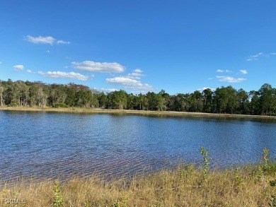 Lake Lot For Sale in Lehigh Acres, Florida