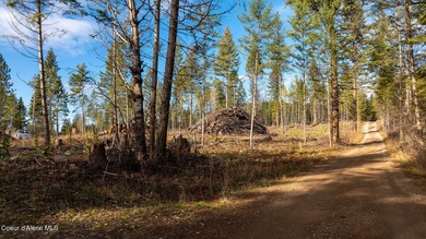 Lake Pend Oreille Acreage For Sale in Clark Fork Idaho