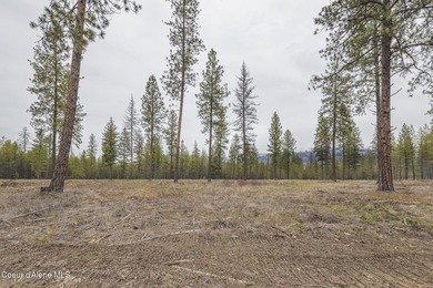Blanchard Lake Acreage For Sale in Blanchard Idaho